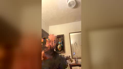 Message me I got money online show from April 18, 6:49 am