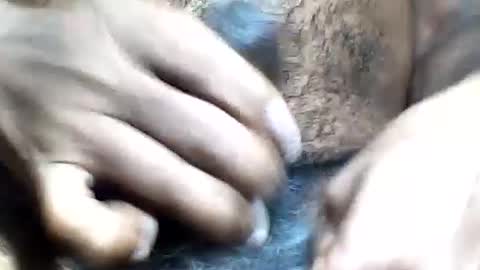pappi_rambo online show from July 25, 4:22 pm