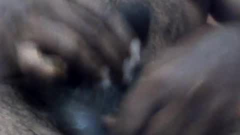 pappi_rambo online show from August 2, 4:58 pm