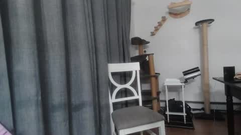 pasexhibe online show from July 24, 6:49 am