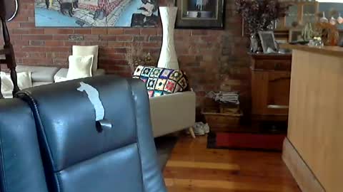 patvac online show from August 15, 2:37 am