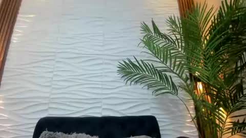 pavo_tv online show from August 14, 5:38 pm