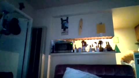 pawgkiller online show from August 11, 2:13 am