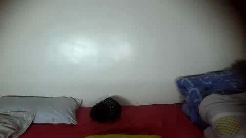 peach_melbah online show from August 13, 2:47 am