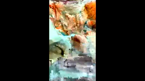 pedrisito1456 online show from June 1, 1:41 am