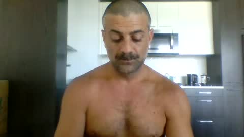 persianprince546 online show from July 13, 9:53 pm