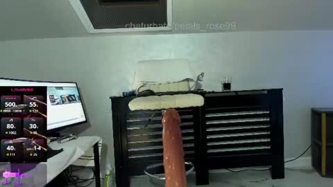 Rose online show from August 9, 11:17 pm