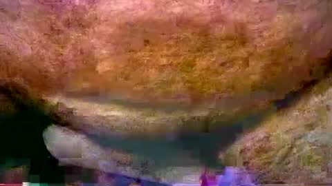 peterpeteropoulos online show from July 19, 6:10 pm