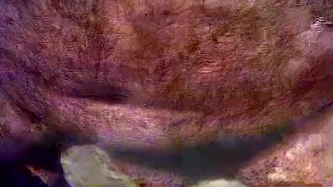 peterpeteropoulos online show from July 23, 6:32 pm