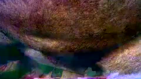peterpeteropoulos online show from August 1, 7:31 pm