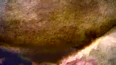 peterpeteropoulos online show from August 3, 6:59 pm