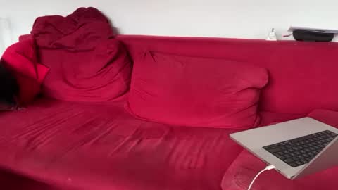 petmario online show from August 15, 10:08 am