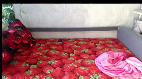 Tatyana online show from August 14, 9:02 am