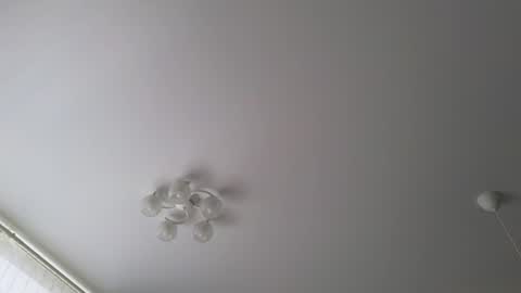   online show from July 24, 4:04 am