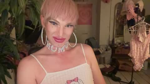 pinkfag online show from June 15, 8:29 pm