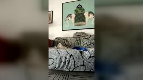 pirata_nero_69 online show from July 9, 7:24 am