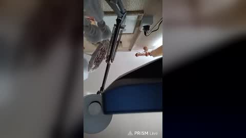 plamen_s online show from August 15, 1:37 pm