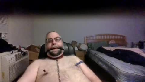 pleasurepuppt online show from August 2, 6:53 am