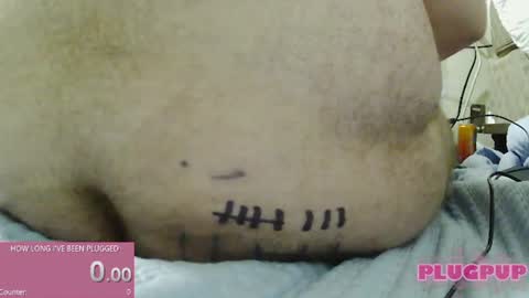 PlugPup online show from August 1, 3:51 pm
