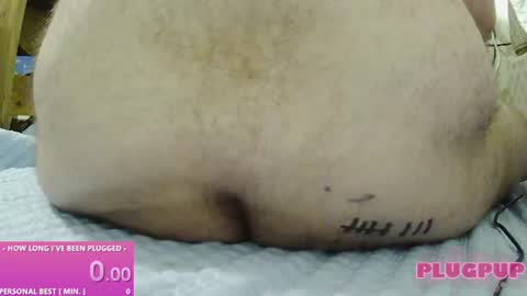 PlugPup online show from August 1, 4:57 pm