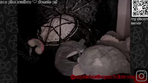 plushcatboy online show from June 30, 7:31 am