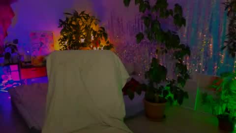 Martha online show from August 4, 8:28 pm