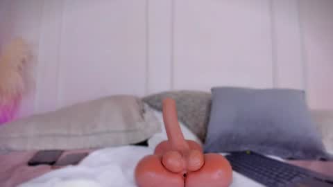 POLLY online show from August 11, 11:40 pm