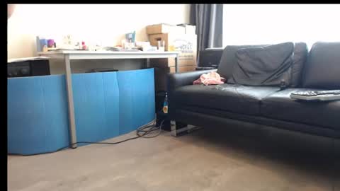 porncock79 online show from June 13, 12:35 pm