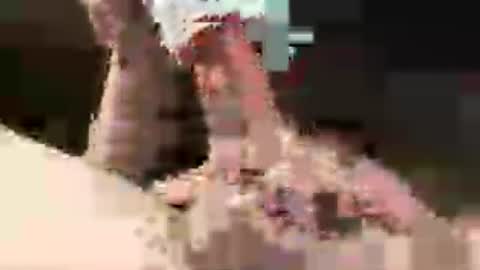 prettycock1981 online show from June 26, 8:17 am