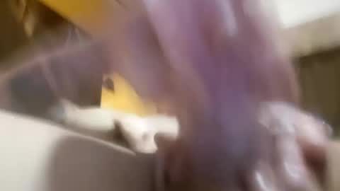 prettycock1981 online show from August 3, 6:31 am