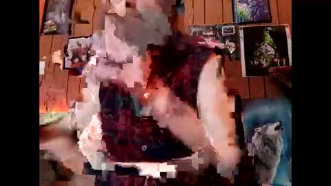 prettysolid7 online show from February 24, 10:29 pm