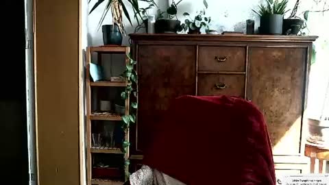 Princess Slut online show from August 3, 2:24 pm