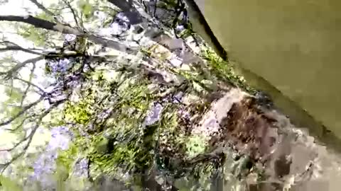 prinzalbertcock1 online show from May 14, 3:33 pm