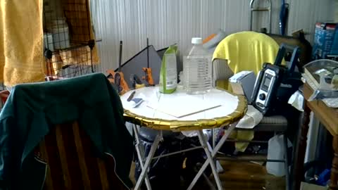 projectorepson online show from August 9, 3:57 pm