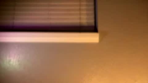 prtty2345 online show from June 19, 6:57 am