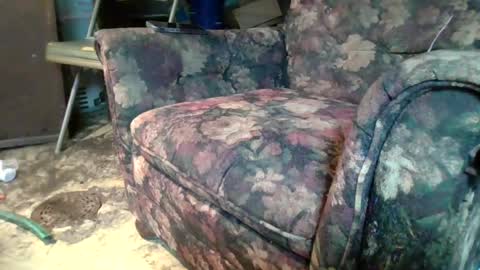 pspee313 online show from July 19, 7:43 am