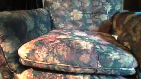 pspee313 online show from August 2, 9:49 am