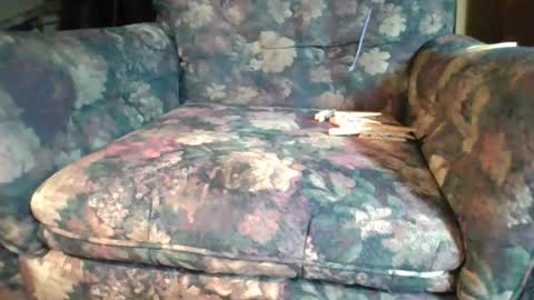 pspee313 online show from August 15, 11:47 am