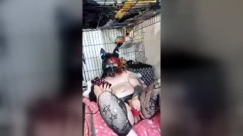 Pup Maxie HeHim online show from August 6, 8:08 pm