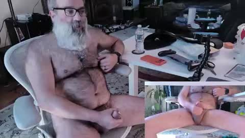Pup And Papa bear online show from June 24, 2:30 pm