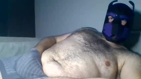 purple_pup_bear online show from August 6, 9:36 pm