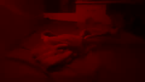 Pussylicker online show from April 3, 9:18 pm