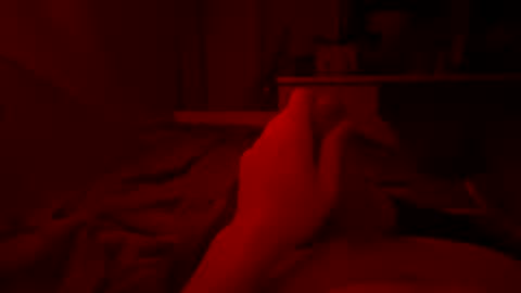 Pussylicker online show from July 24, 6:11 pm