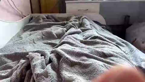 Pussylicker online show from August 3, 1:56 am