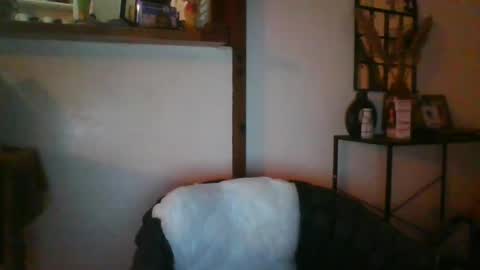 Python online show from July 31, 2:29 am