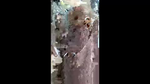 queen_2028 online show from March 29, 8:55 am