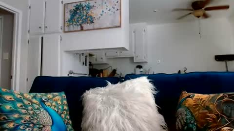 Queen Amber online show from July 11, 12:38 am