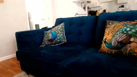 Queen Amber online show from July 17, 2:44 am