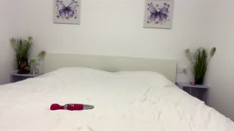 Angel online show from June 2, 8:56 pm