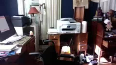 ray1776ray online show from August 14, 10:02 pm